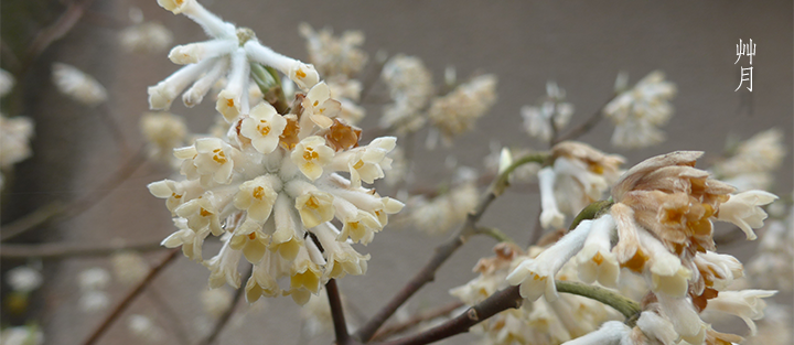 “コンセプト”